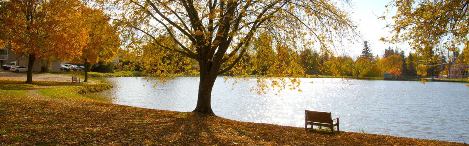 Village of Wellesley, Fall view overlooking Morses Pond